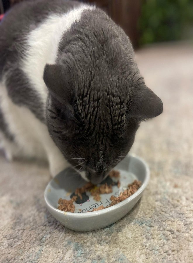 SPOT Best Friends Oval Cat Food Dish - Ceramic Plate with Low Edges, Saucer with Whisker-Friendly Shape and Low Profile Sides, Ideal for Wet or Dry Cat Food, Dishwasher Safe, 6in, Light Grey - Image 5
